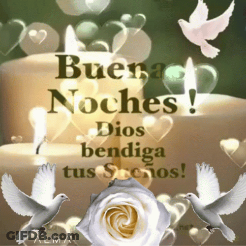 Bendecida Noche GIF