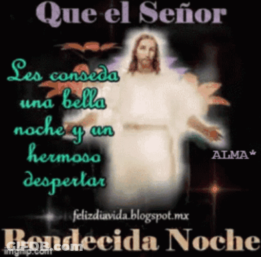 Bendecida Noche GIF