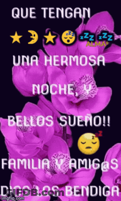 Bendecida Noche GIF
