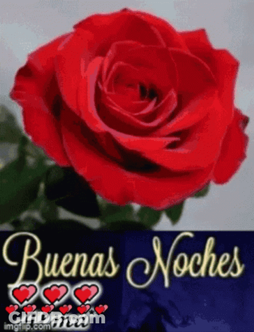 Bendecida Noche GIF