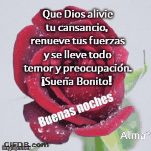 Bendecida Noche GIF