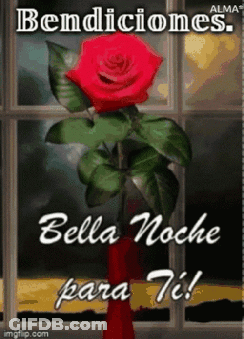 Bendecida Noche GIF