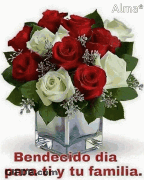 Bendecido Dia Awesome Flowers Selection GIF