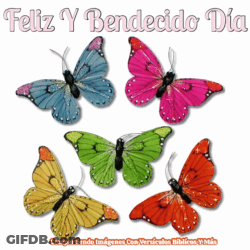 Bendecido Dia Glittery Butterflies GIF