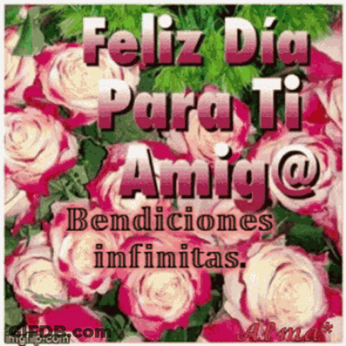 Bendecido Dia Red Roses Collection GIF