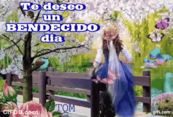 Bendecido Dia Soaring Butterflies GIF