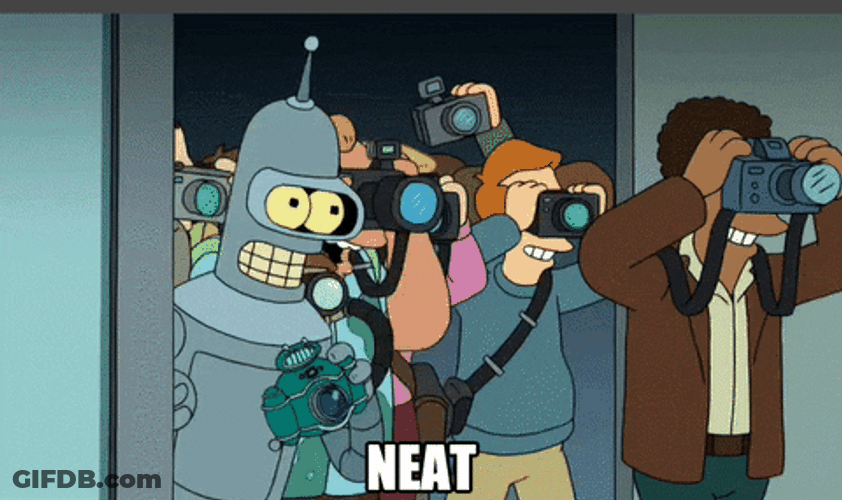 Bender With Photographers Neat Pictures GIF