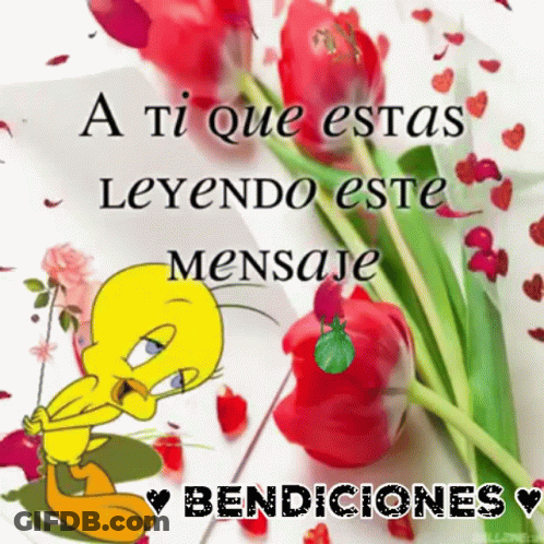 Bendiciones Piolin GIF