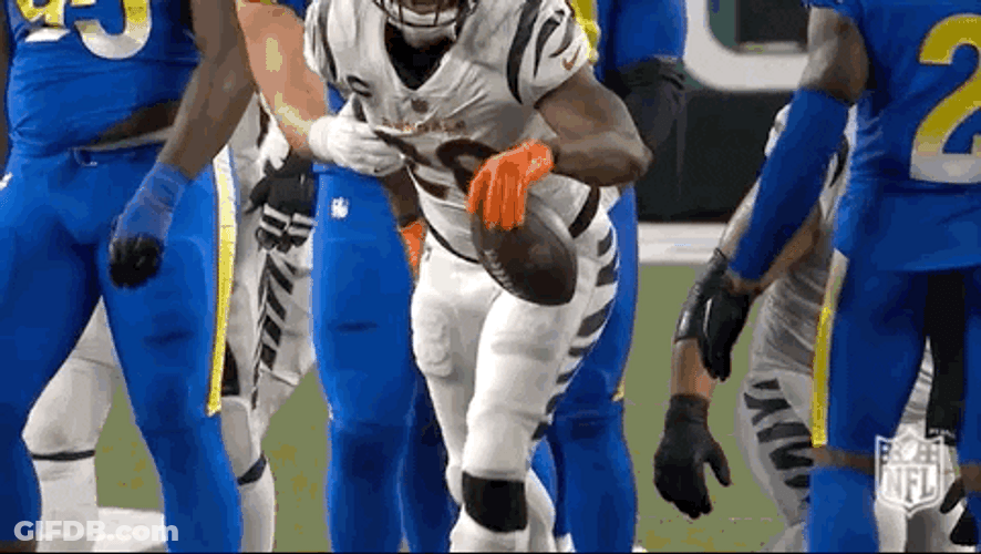 Bengals GIF