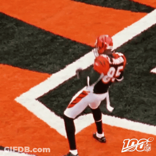 Bengals GIF