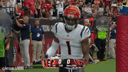 Bengals Vs Cardinals Football Game On Fox NFL GIF