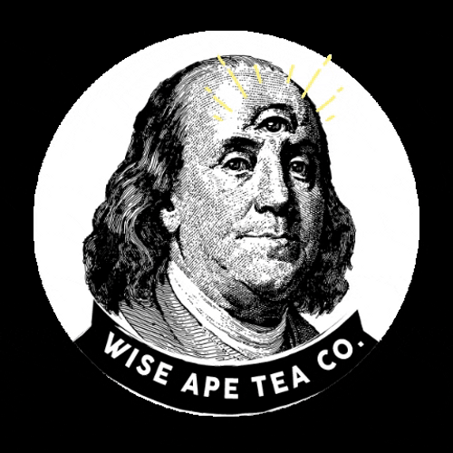 Benjamin Franklin Third Eye Portrait GIF