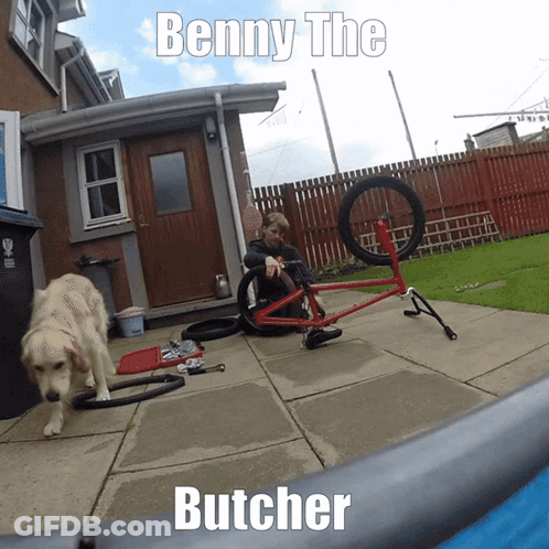 Benny The Butcher With Dog And Bicycle GIF