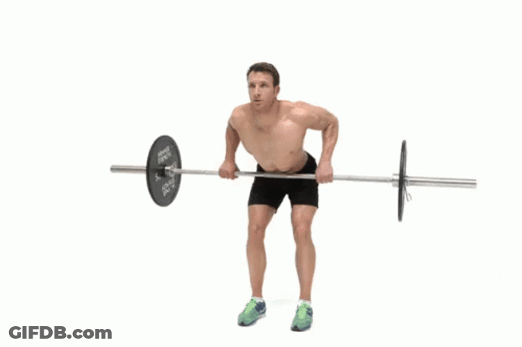 Bent Over Technique In Using Barbell Row GIF