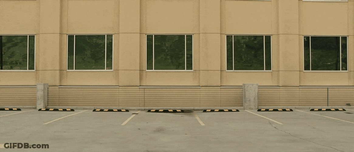Bentley Chasing A Lady GIF