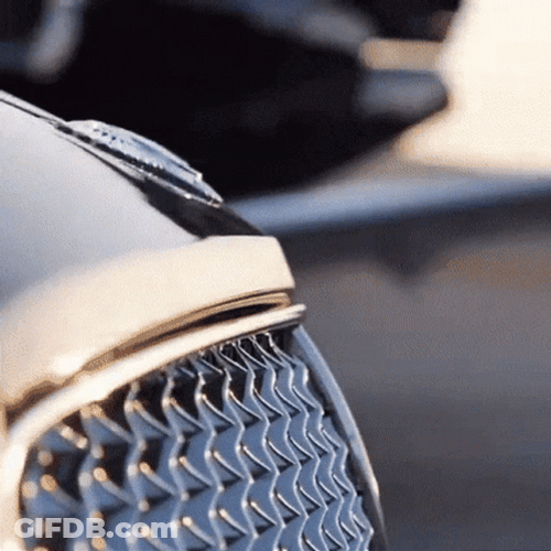 Bentley On Display GIF