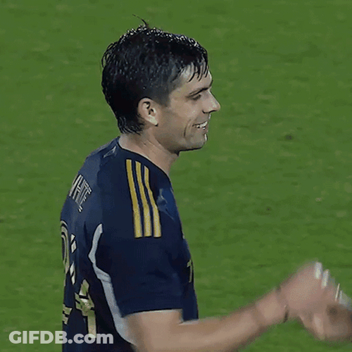 Berhalter Bro Hug GIF