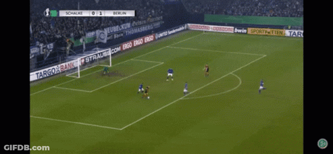 Berhalter Field View Game GIF