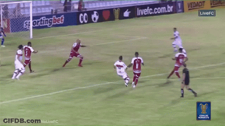 Berhalter Football Soccer GIF