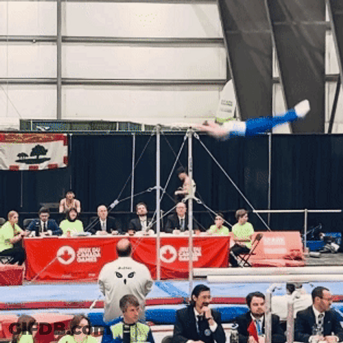 Berhalter Gymnastics Rotate GIF