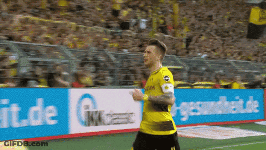 Berhalter Happy Marco Reus GIF