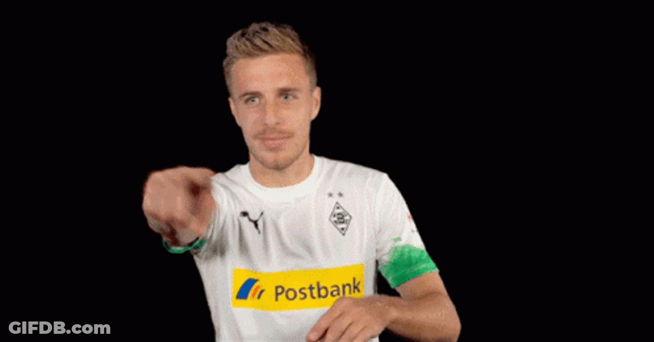 Berhalter Patrick Herrmann Go Everywhere GIF