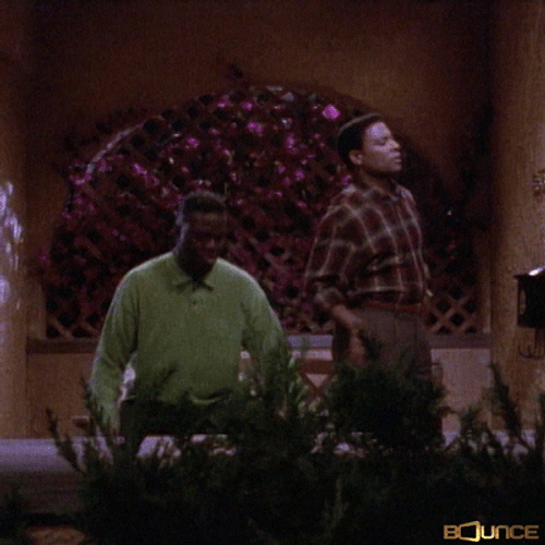 Bernie Mac Comedians Dancers GIF