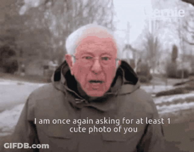 Bernie Sanders Asking For Cute Photo GIF