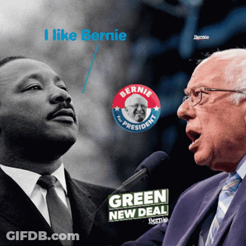 Bernie Sanders Cancel All Student Debt GIF