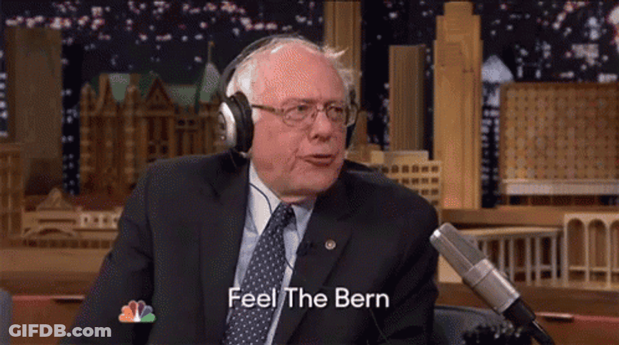 Bernie Sanders Feel The Bern GIF