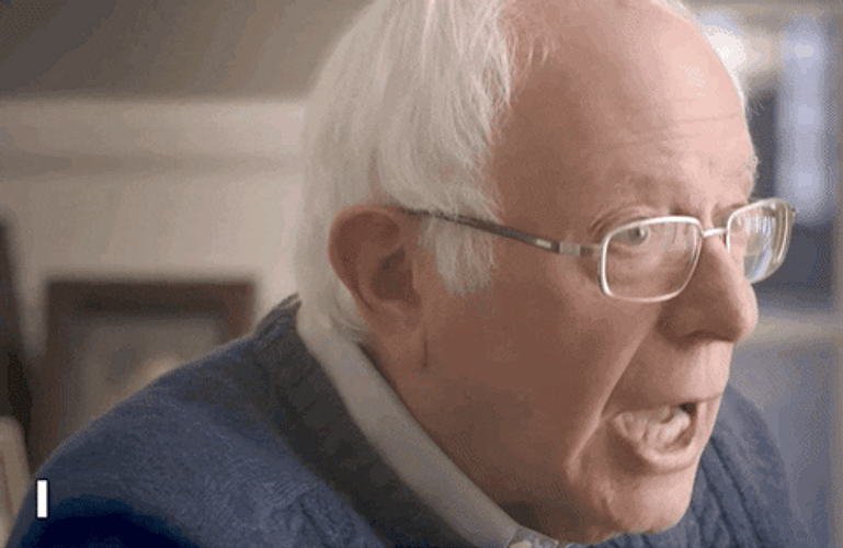 Bernie Sanders . I Believe In Democracy GIF
