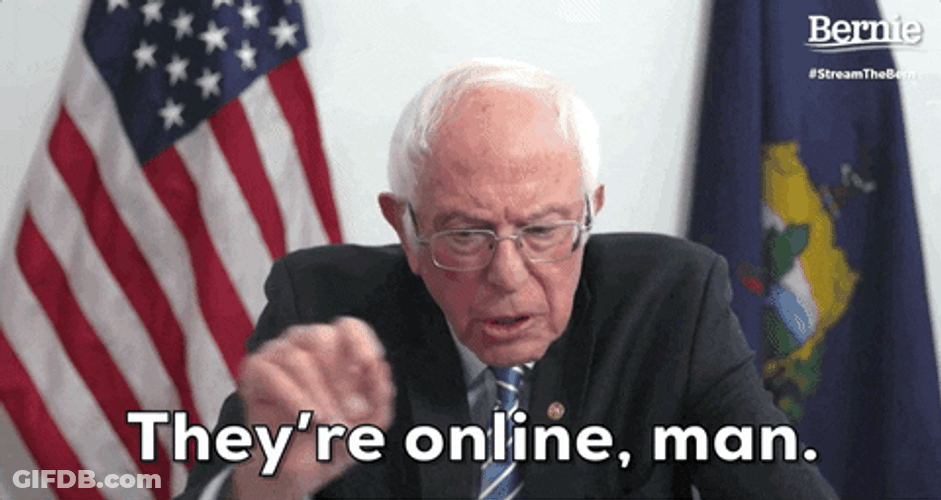 Bernie Sanders . Theyre Online Man GIF