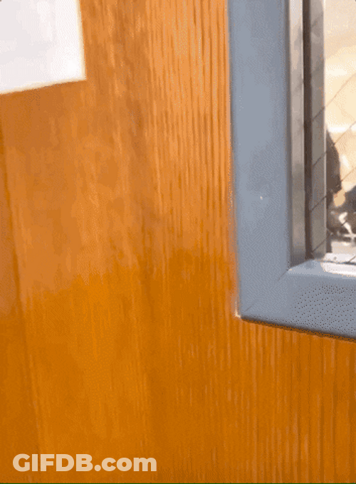 Bernie Sanders . What A Small World GIF