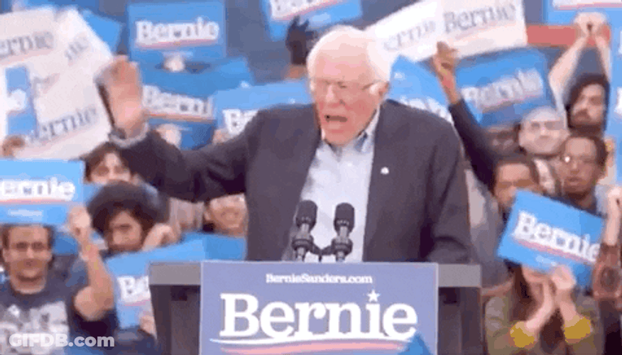 Bernie You Made Me Say It What An Idiot GIF