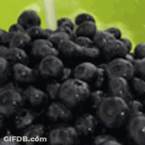 Berry Blueberry Washing Cleaning GIF