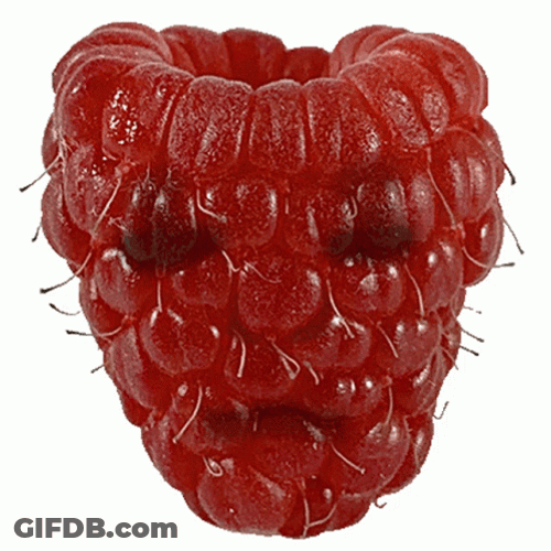 Berry In Awe Blushing GIF