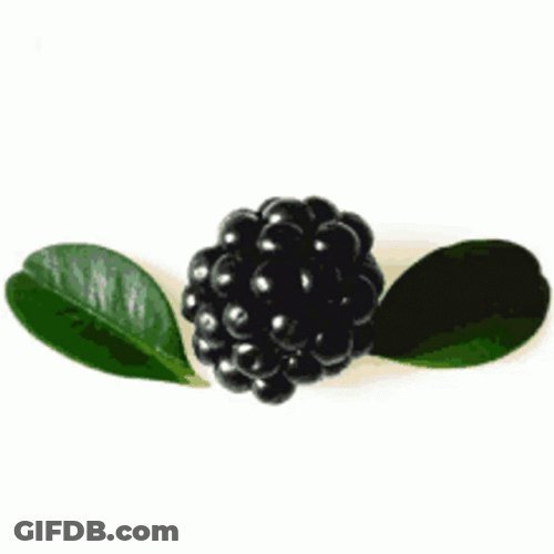 Berry Mulberry Leaves Wings GIF