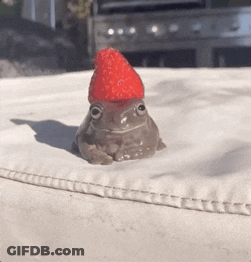 Berry Strawberry Frog's Head GIF