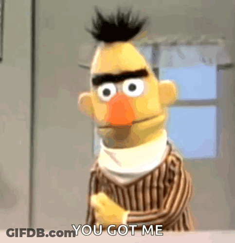 Bert From Sesame Street Is Standing In Front Of A Window And Says You Got Me . GIF
