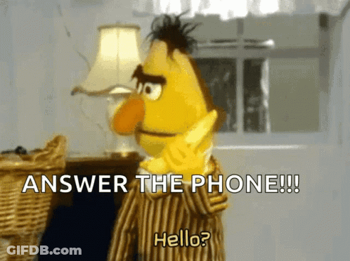 Bert From Sesame Street Says " Answer The Phone Hello " GIF