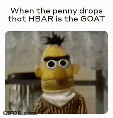 Bert Sesame Street Meme When The Penny Drops That HBAR Is The Goat GIF