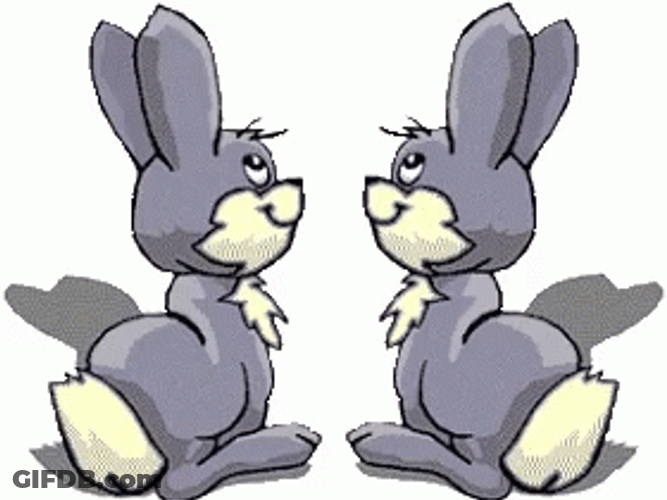 Besitos Funny Bunnies Couples GIF
