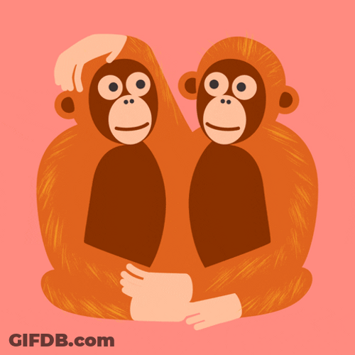 Besos De Novios GIF