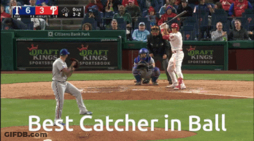 Best Catcher In Ball Baseball Game GIF