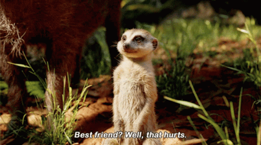 Best Friend Lion King Meme GIF