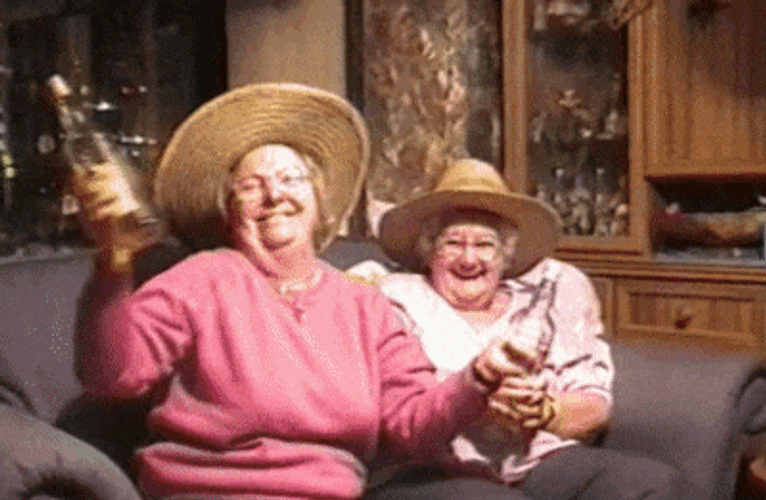 Best Friends Wine Drunk GIF