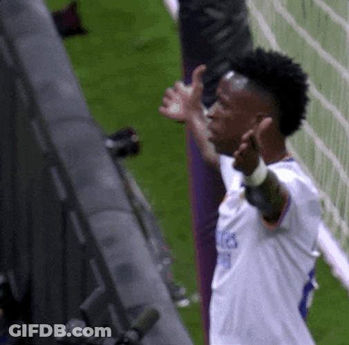 Best Goal Keeper Vini Jr GIF