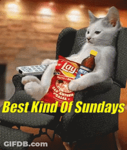 Best Kind Of Lazy Sunday GIF
