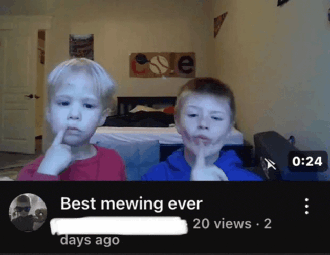 Best Mewing Ever Chad Meme GIF