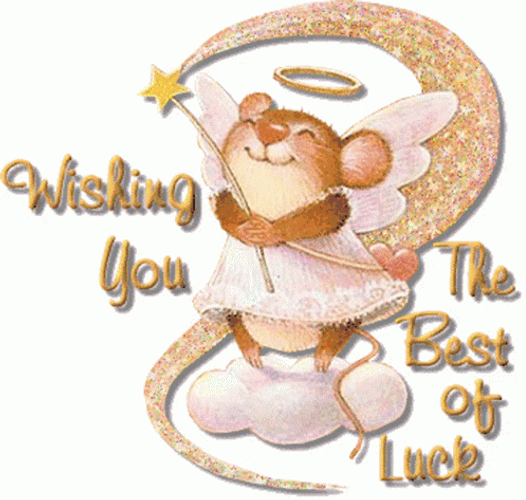 Best Of Luck Mouse Sticker GIF